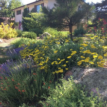 Jim and Gina Yard Ideas