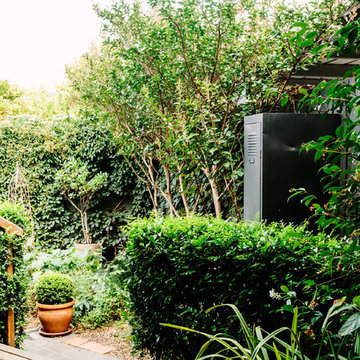 Ms Jolly's garden