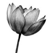 Jimena Velez's photo