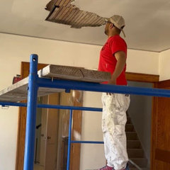 Lion Painting LLC