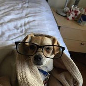 Yasmine Dabgotra's photo