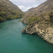 Jean Hale's photo