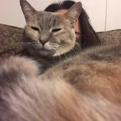 Sarah Wieck's photo