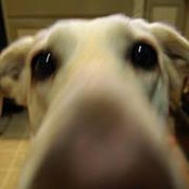Josephine Geiger's photo