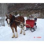 Kristi Watson-Craig Watson's photo