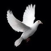 Ben Shockley's photo
