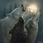 Martha Wolf's photo