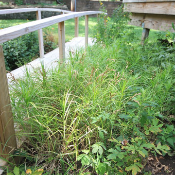 Native Plant Landscaping, Hardscaping, and Bioswales