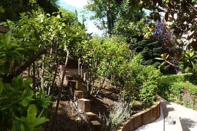 community garden at Esplugues de Llobregat