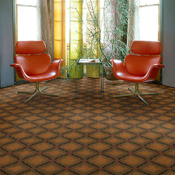 Dabbieri Collection