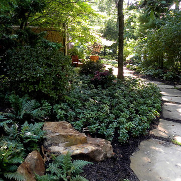 Shade Garden