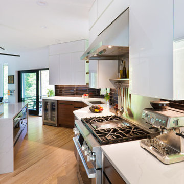 Excelsior Modern Remodel