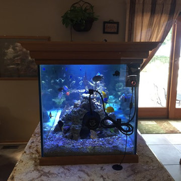 Fish Tank