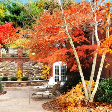 Terraced garden renovation