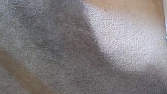 very dirty carpet/replacement considered