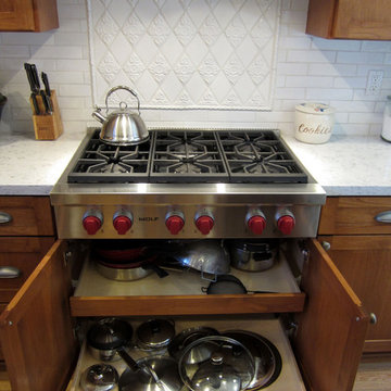 A New Focus - In Willow Glen