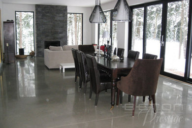 This is an example of a contemporary dining room in Other with concrete floors.