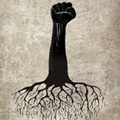 Aytek Krbbr's photo