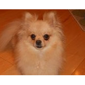 Melanie Van_Brummelen's photo