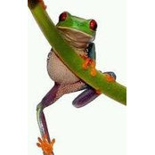 April Ogle's photo