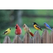 Brenda Nowack's photo