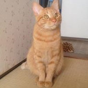 Kahoru Inadu's photo