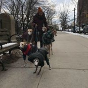 Anna Brooks's photo