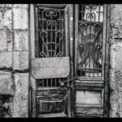 Yassmin Emad's photo