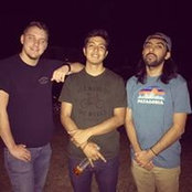 Luis Navarro's photo