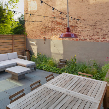 Carroll Gardens Backyard