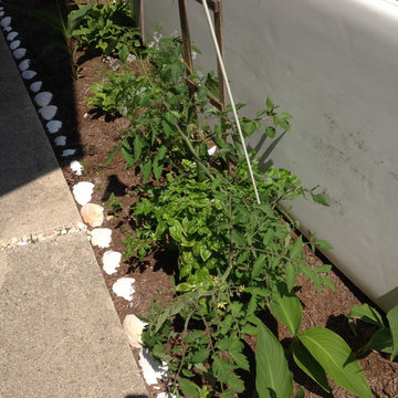 Vegetable & Herb Gardens