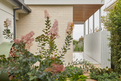 Design ideas for a contemporary garden in Melbourne.