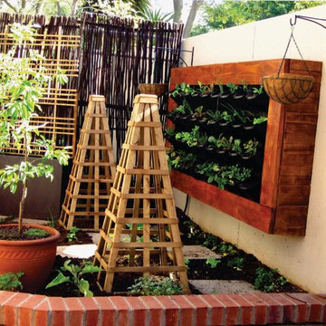 Small vegetable and herb garden with vertical planting