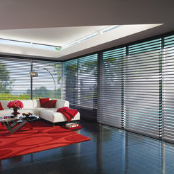 Modern Charcoal Living Room Custom Window Window Shadings by Hunter Douglas - Window Treatments