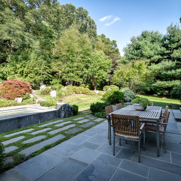 Transitional Patio