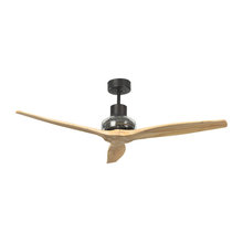 celing fixtures