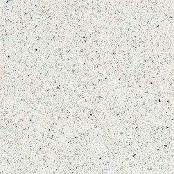 QUARTZ COUNTER TOP AND FLOOR - Kitchen Countertops