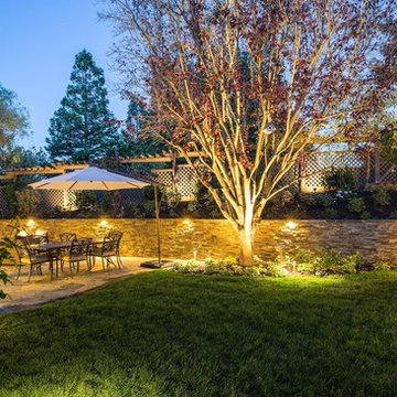 Backyard Design