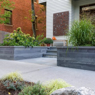 Brookline Modern Front Yard