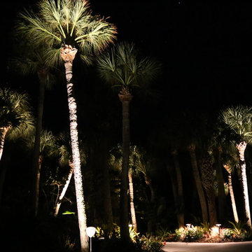 Landscape Lighting on the Beach