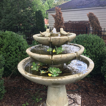 Garden Viewpoints