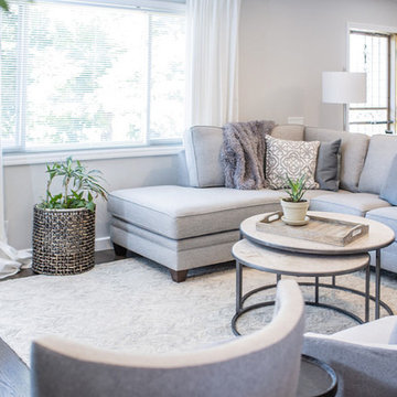 Clarkson Street Living Room + Fireplace Renovation