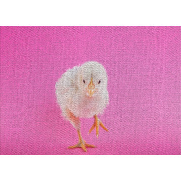 Baby Chicken On A Pink Background Area Rug, 5'0"x7'0"
