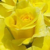 Clayton Chambers's photo