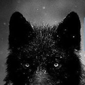 Corey Labranch's photo