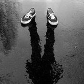 Bogdan Suteu's photo
