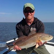 Bill Cox's photo