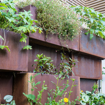 Living wall in urban garden