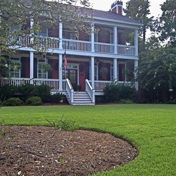 EMPIRE Zoysia