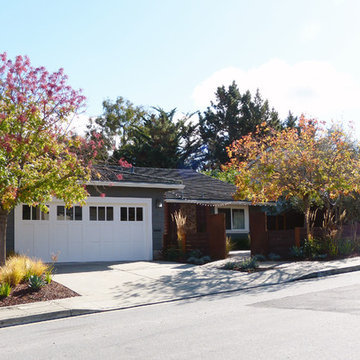 Contemporary Front Yard